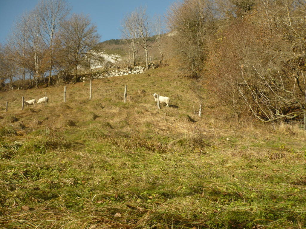 La Chouette à l'heure du Pinson Saint-Pierre-d'Entremont (Savoie) Exterior foto