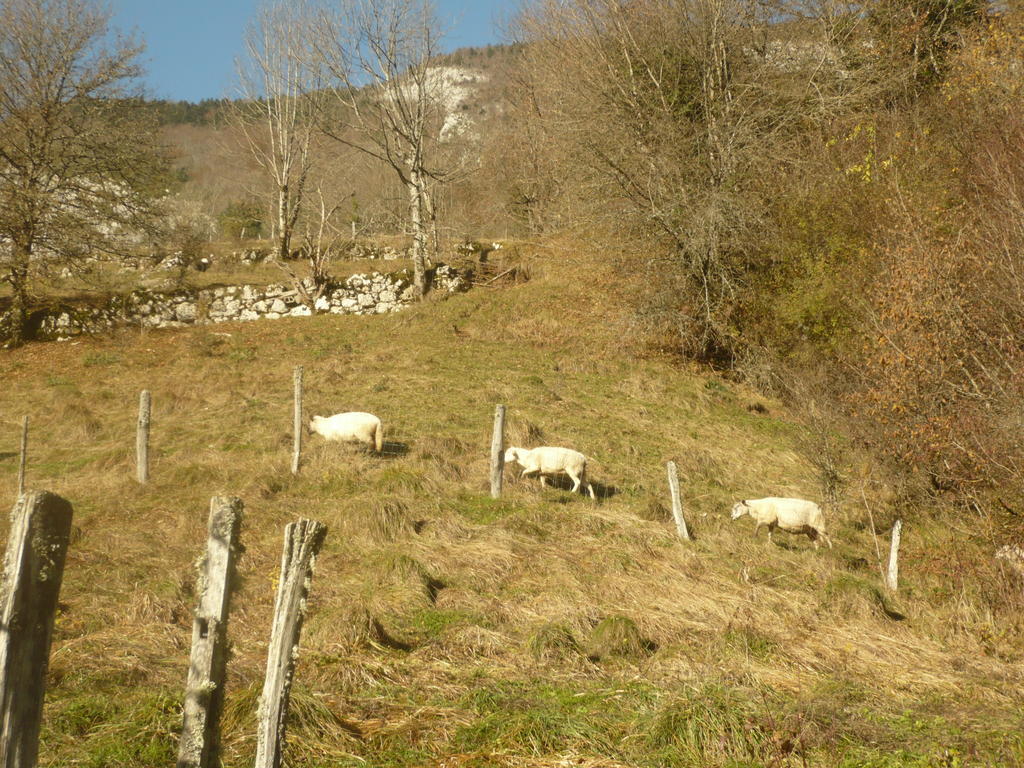 La Chouette à l'heure du Pinson Saint-Pierre-d'Entremont (Savoie) Exterior foto