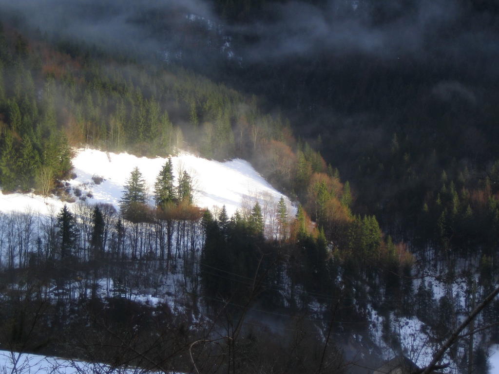 La Chouette à l'heure du Pinson Saint-Pierre-d'Entremont (Savoie) Exterior foto