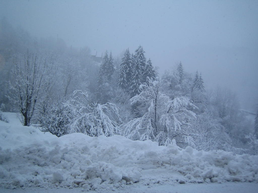 La Chouette à l'heure du Pinson Saint-Pierre-d'Entremont (Savoie) Exterior foto
