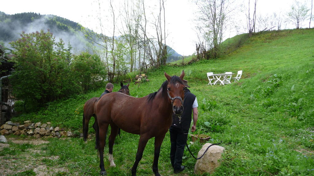 La Chouette à l'heure du Pinson Saint-Pierre-d'Entremont (Savoie) Exterior foto